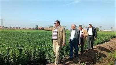 وكيل زراعة دمياط يتفقد محصولي القطن والأرز