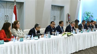وزراء الكهرباء والبترول والتخطيط يستعرضون خطط إنتاج الطاقة المتجددة والهيدروجين الأخضر 