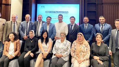 مجلس الشباب المصري يبحث سبل التعاون مع سنغافورة