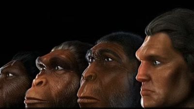 هل منح تغير المناخ أسلاف البشر أدمغة أكبر؟