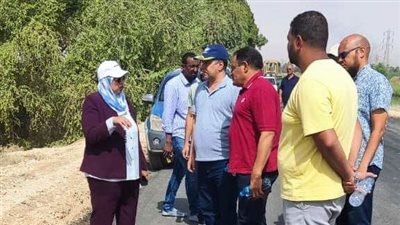 نائب محافظ أسوان تتابع ميدانيًا الأعمال الجارية بمشروعات الرصف