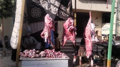 محافظ المنيا يوجه بالتوسع في منافذ بيع اللحوم والسلع الغذائية بأسعار مخفضة 