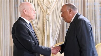 وزير الخارجية ينقل رسالة من الرئيس السيسي إلى الرئيس التونسي 