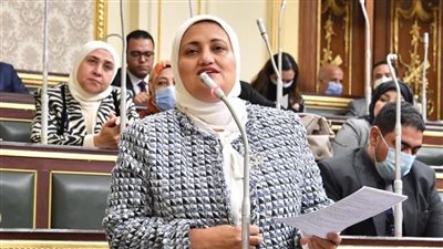 نائبة فى البرلمان توجه سؤال للحكومة عن سياستها في مواجهة ارتفاع الأسعار 