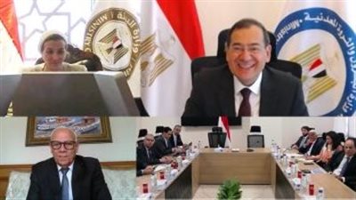 اجتماع وزاري ثلاثي بشأن مشروع المخلفات الزراعية والحيوانية ببورسعيد