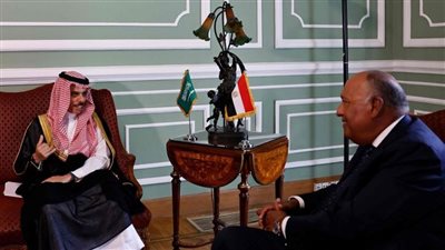 السودان وفلسطين على طاولة وزير الخارجية سامح شكري ونظيره السعودي