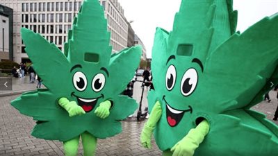 حكومة ألمانيا توافق على مشروع قانون يبيح استخدام القنب