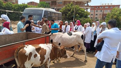 جامعة بنها تنظم قافلة بيطرية بقرية كفر عابد بمركز طوخ