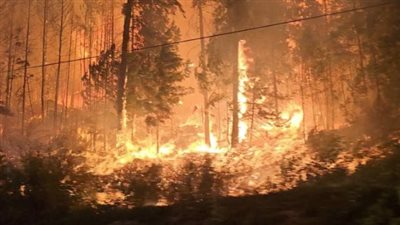 توسع حرائق الغابات قرب القدس المحتلة.. ونتنياهو يستغيث