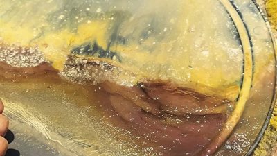 حملات تفتيشية لـ 