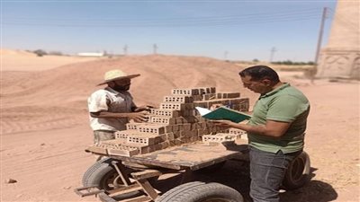 العمل: تدريب مهني للشباب بالوادي الجديد وحصر مستمر للعمالة غير المنتظمة