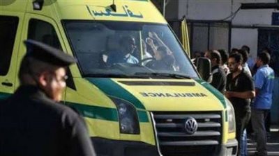 إصابة شاب خلال مشاجرة فى «نصر النوبة» بأسوان