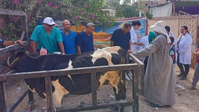 «الزراعة» تطلق قافلة بيطرية لعلاج مواشي صغار المربين مجانا بالوادي الجديد