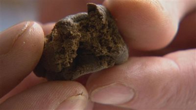 رضيعة تنجو من الموت بعد ابتلاعها قطعة حشيش في المعصرة