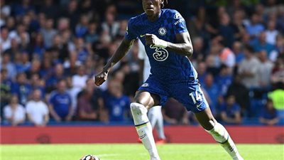 توخيل يرغب فى تعويض بافارد بلاعبه السابق فى تشيلسى