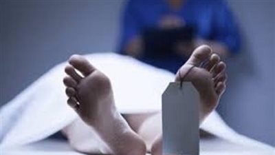 «ثعبان» يُنهي حياة طالب بكلية التربية في أرضه الزراعية بسوهاج