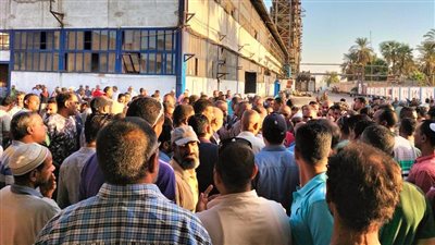 «واحد اتنين فلوسنا راحت فين».. سر غضب عمال مصنع السكر بأسوان