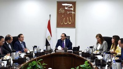 «مدبولي» يستعرض مقترحا بإنشاء مصنعين للأسمدة الفوسفاتية والسيليكون المعدني لإنتاج الألواح الشمسية