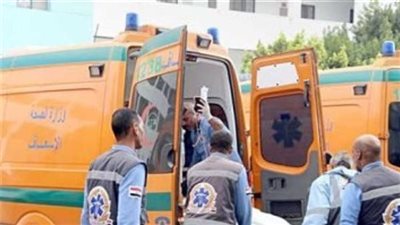 بالأسماء.. سيارة تصدم أسرة كاملة في أسوان