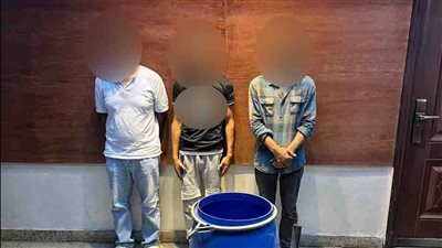 تفاصيل القبض على تشكيل عصابي للتنقيب عن الآثار بمصر القديمة 