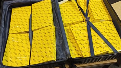 رجال الجمارك يحبطون عمليات تهريب خطيرة (صور)