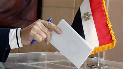 خطة «الإخوان» والمنظمات الخارجية للتشكيك فى نزاهة انتخابات الرئاسة