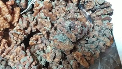 تفاصيل ضبط 2 طن حلويات مولد فاسدة بالغربية