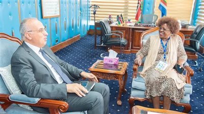 تفاصيل لقاء وزير الري بنظيرته الكينية لإنشاء 10 سدود لمياه الأمطار بنيروبي