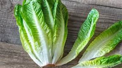 أبرزها السكري.. الخس يحمي الإنسان من أمراض كثيرة