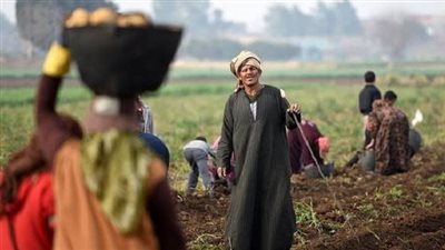 بالإنفوجراف.. المركز الإعلامي لمجلس الوزراء يرصد استراتيجيات ومبادرات الدولة لدعم الفلاح المصري