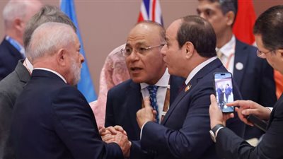 مساعد وزير الخارجية الأسبق يوضح أهمية مصر في مجموعة العشرين