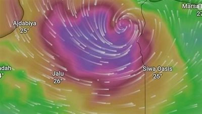 مياه الدقهلية تعلن الطوارئ لمواجهة العاصفة دانيال