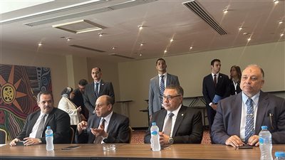 وزير الطيران: مقرر تخفيض المحروقات بالمطارات والاستعانة بالطاقة الشمسية 