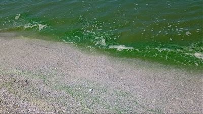 إدارة شاطئ بورسعيد تخلي البحر من المصطافين