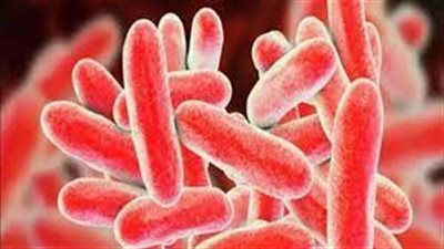 تعرف على داء الفيالقة وأعراضه وطرق علاجه