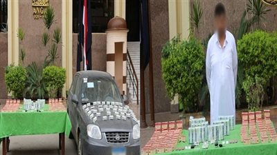 ضبط تاجر الكيف قبل ترويجه بـ2 مليون جنيه حشيش وترامادول في الجيزة