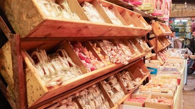 فتاوى الاحتفال بالمولد النبوي تصل لـ70 % بدار الإفتاء