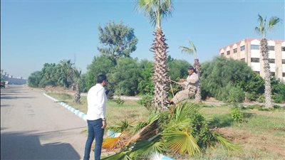 محافظ الدقهلية يوجه برفع الإشغالات وتحسين الخدمات في جمصة