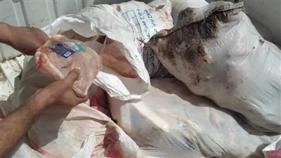 بيطري المنيا يضبط 233 كجم لحوما غير صالحة للاستهلاك الآدمي ولحوما مذبوحة خارج المجازر