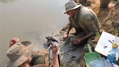 العلماء يكتشفون أقدم كوبري في العالم بناه إنسان.. أين يوجد؟