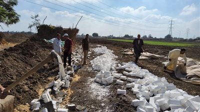 محافظ المنوفية: إزالة فورية لـ21 تعديا على الأراضي الزراعية 