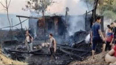 نفوق 5 رؤوس ماشية في حريق التهم حظيرة مواش بالفيوم