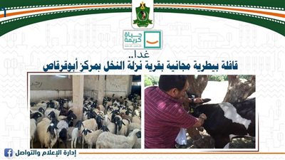 غدا.. قافلة بيطرية مجانية بقرية نزلة النخل بمركز أبوقرقاص بالمنيا