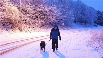 إحصائيات مثيرة حول الوفاة بسبب الطقس البارد