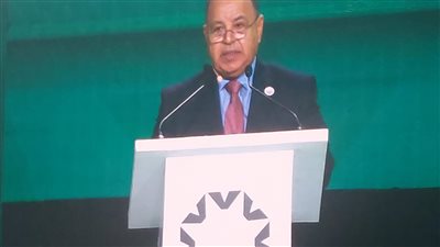 معيط: مصر تدعم كل جهود التنمية الشاملة والمستدامة فى العالم حتى يعم الخير والرخاء 