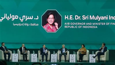 المالية: نتطلع لدور أكبر للبنوك والمؤسسات الدولية فى تحفيز القطاع الخاص للاستثمار (صور)