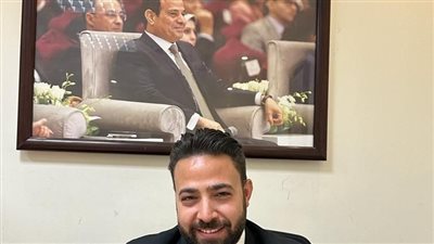  ممثلو حماة الوطن ينسقون مع الجاليات المصرية بالخارج لتسهيل الانتخاب والإدلاء بأصواتهم 