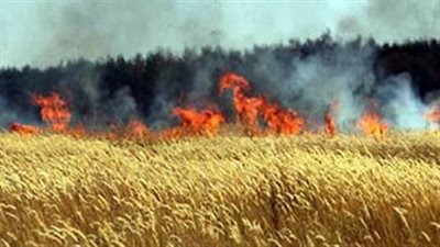 السيطرة على حريق شب في أرض زراعية بالقليوبية