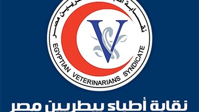 نقابة الأطباء البيطريين تعلن عن رحلة إلى الاسكندرية (تفاصيل)