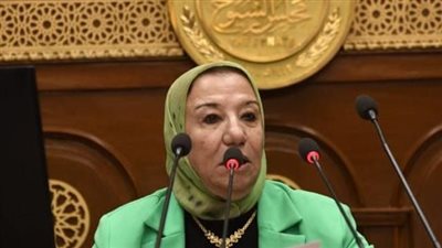 حياة خطاب: مصر تحتاج السيسي وأراهن علي وعي المصريين 